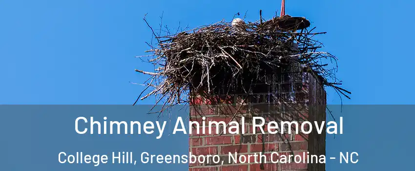 Chimney Animal Removal College Hill, Greensboro, North Carolina - NC