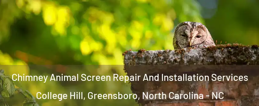 Chimney Animal Screen Repair And Installation Services College Hill, Greensboro, North Carolina - NC