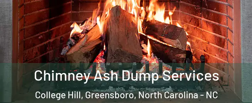 Chimney Ash Dump Services College Hill, Greensboro, North Carolina - NC