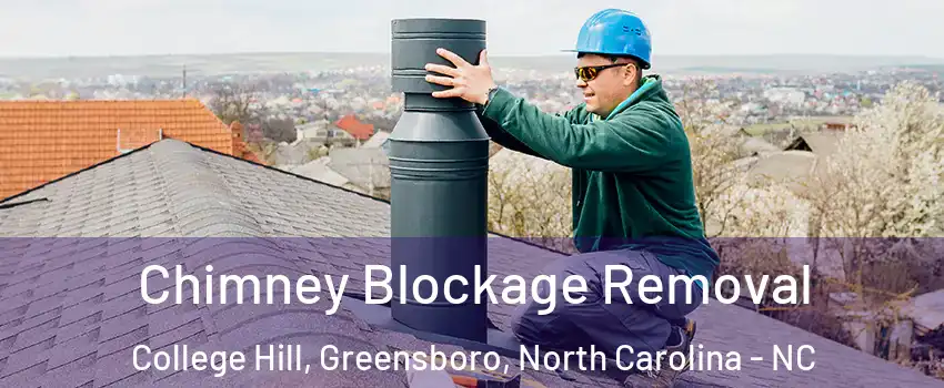 Chimney Blockage Removal College Hill, Greensboro, North Carolina - NC