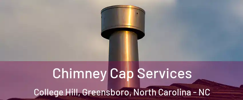 Chimney Cap Services College Hill, Greensboro, North Carolina - NC