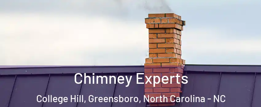 Chimney Experts College Hill, Greensboro, North Carolina - NC