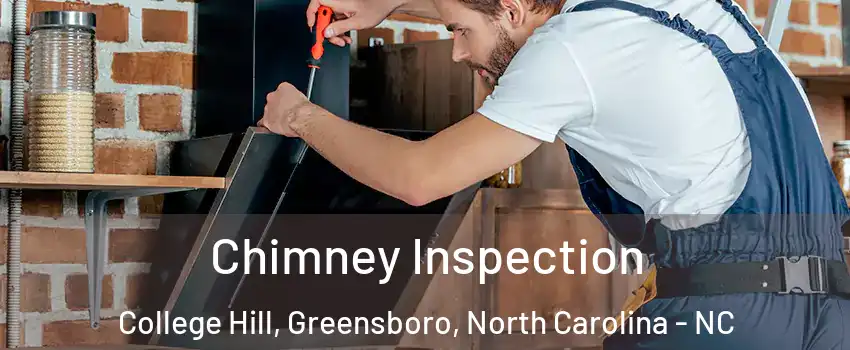 Chimney Inspection College Hill, Greensboro, North Carolina - NC