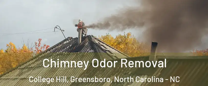 Chimney Odor Removal College Hill, Greensboro, North Carolina - NC