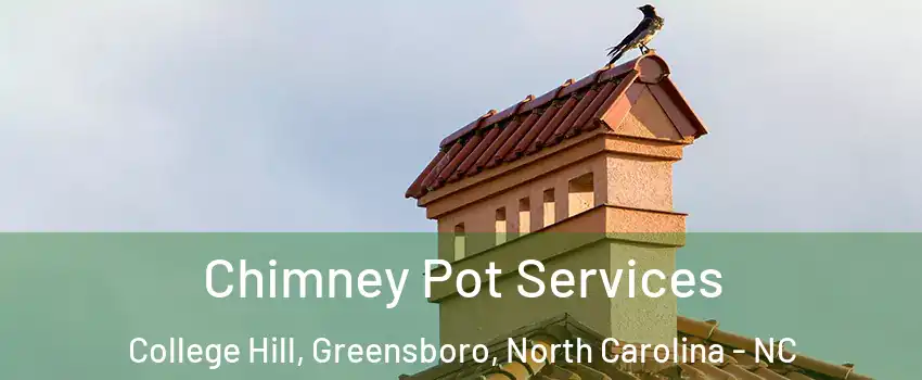 Chimney Pot Services College Hill, Greensboro, North Carolina - NC