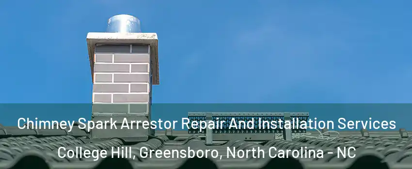 Chimney Spark Arrestor Repair And Installation Services College Hill, Greensboro, North Carolina - NC