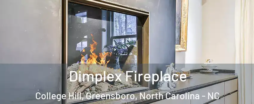 Dimplex Fireplace College Hill, Greensboro, North Carolina - NC