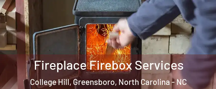 Fireplace Firebox Services College Hill, Greensboro, North Carolina - NC