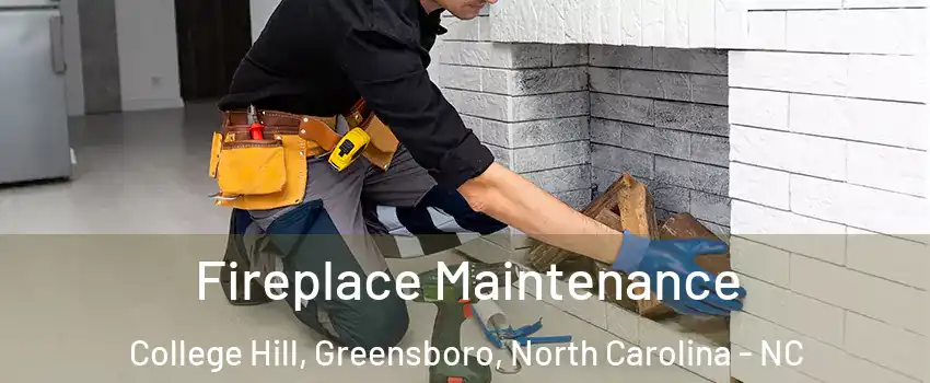 Fireplace Maintenance College Hill, Greensboro, North Carolina - NC