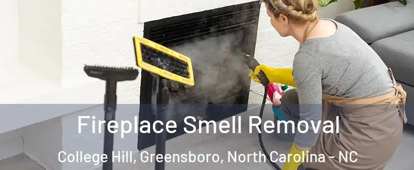 Fireplace Smell Removal College Hill, Greensboro, North Carolina - NC