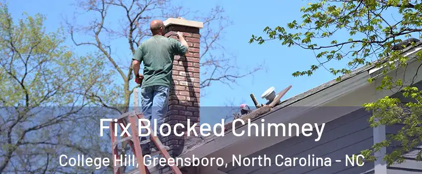 Fix Blocked Chimney College Hill, Greensboro, North Carolina - NC
