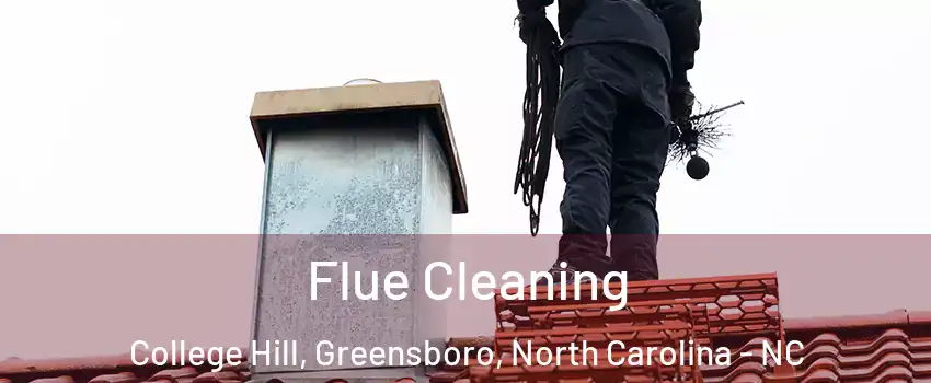 Flue Cleaning College Hill, Greensboro, North Carolina - NC