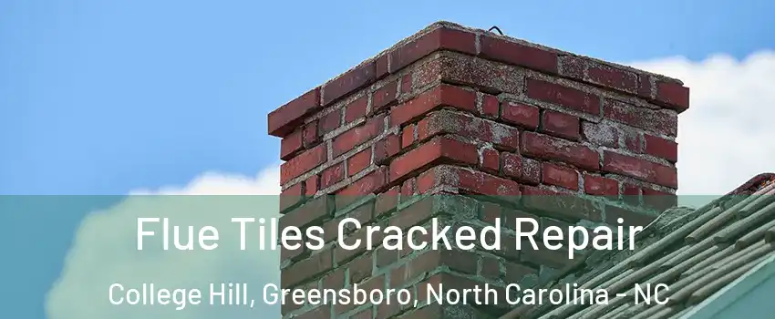 Flue Tiles Cracked Repair College Hill, Greensboro, North Carolina - NC