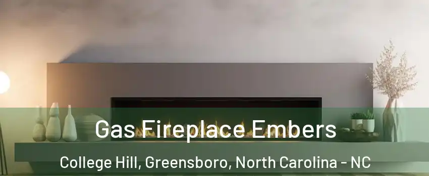 Gas Fireplace Embers College Hill, Greensboro, North Carolina - NC