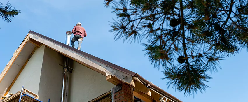 Birds Removal Contractors from Chimney in College Hill, Greensboro, North Carolina, NC