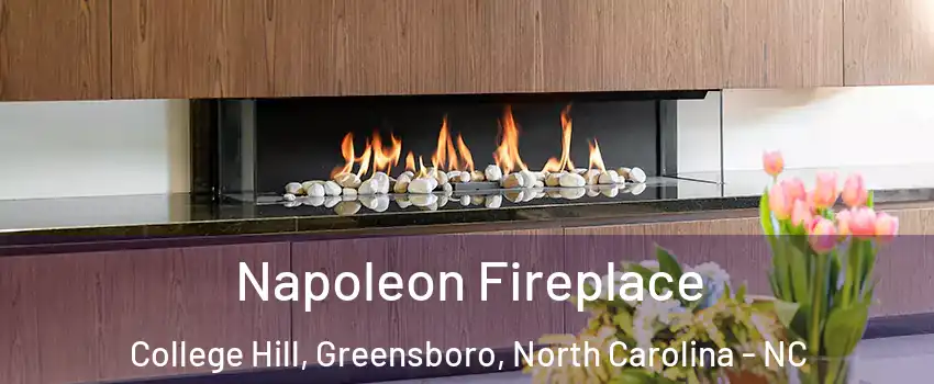 Napoleon Fireplace College Hill, Greensboro, North Carolina - NC