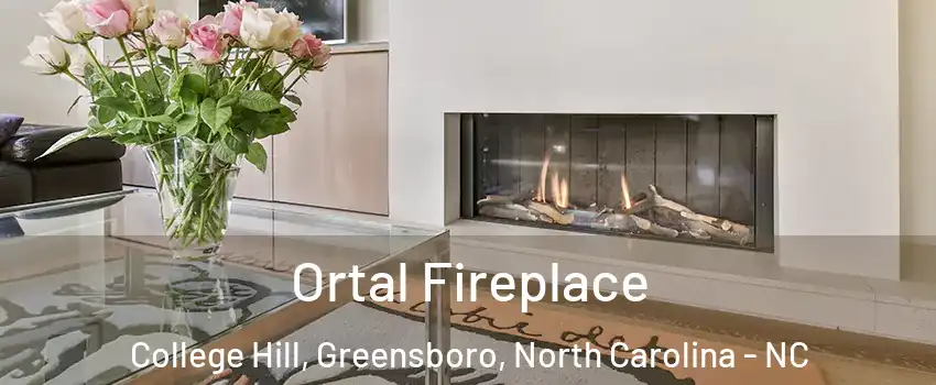 Ortal Fireplace College Hill, Greensboro, North Carolina - NC